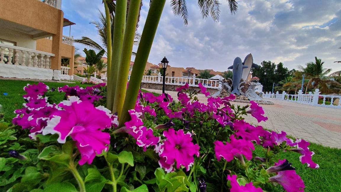 Dolphin Beach Resort Yanbu Exteriér fotografie